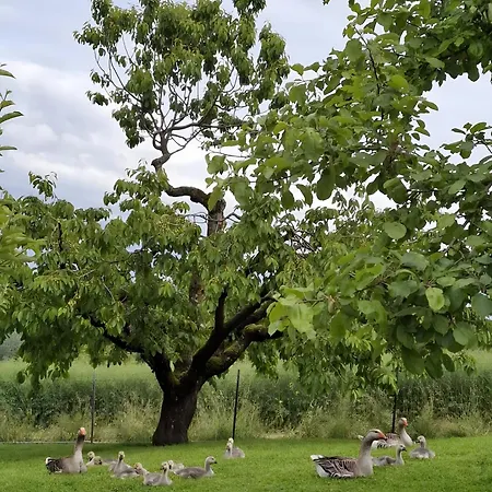 Dom wakacyjny Spes *